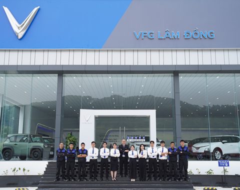 Định hướng VFG 1