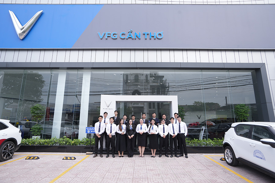 Định hướng VFG 4