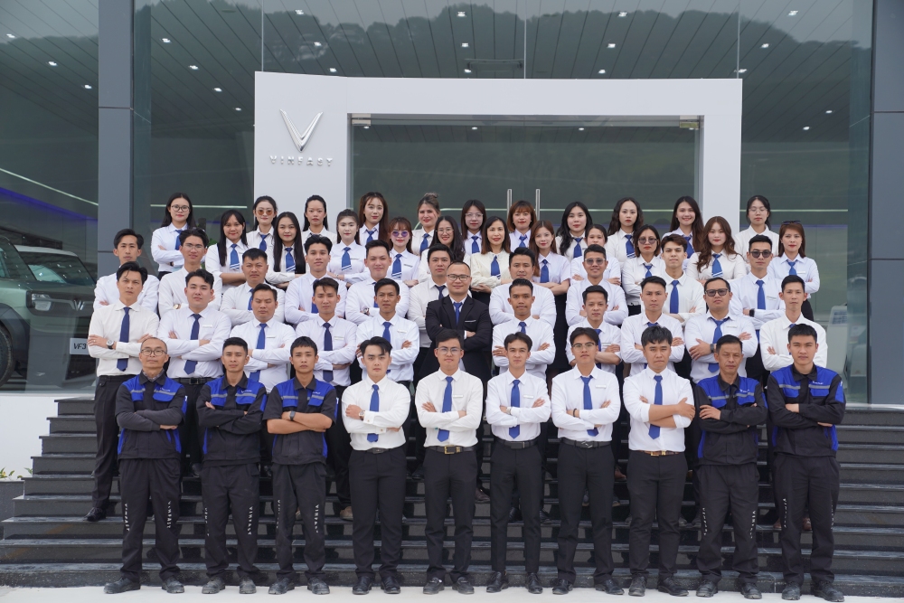 Giới thiệu VFG 2