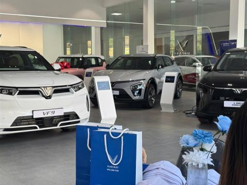 Hoạt động vận hành tổng thể của hệ thống showroom VFG