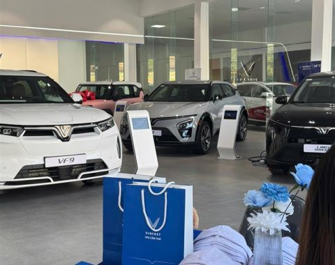 Hoạt động vận hành tổng thể của hệ thống showroom VFG